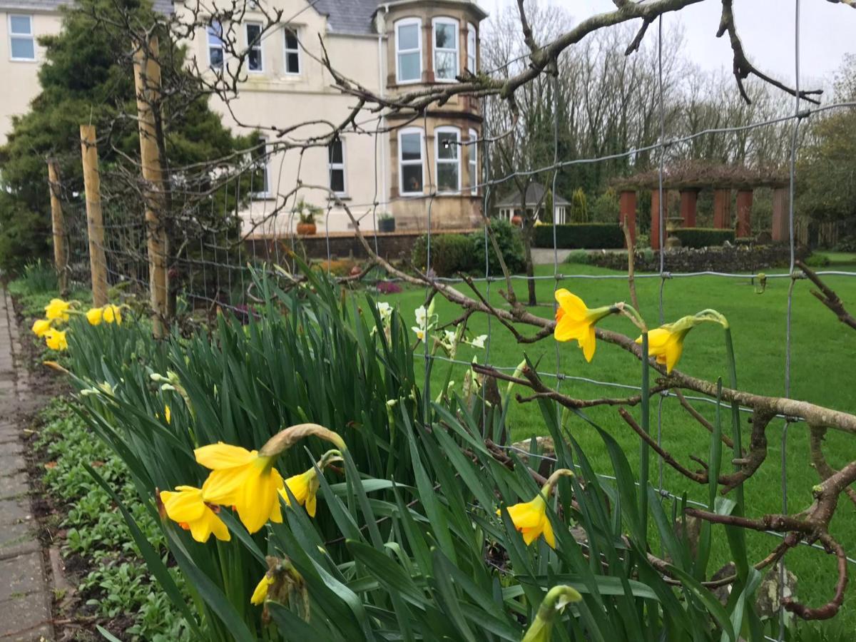 Holywell House B & B Evershot  Exteriör bild